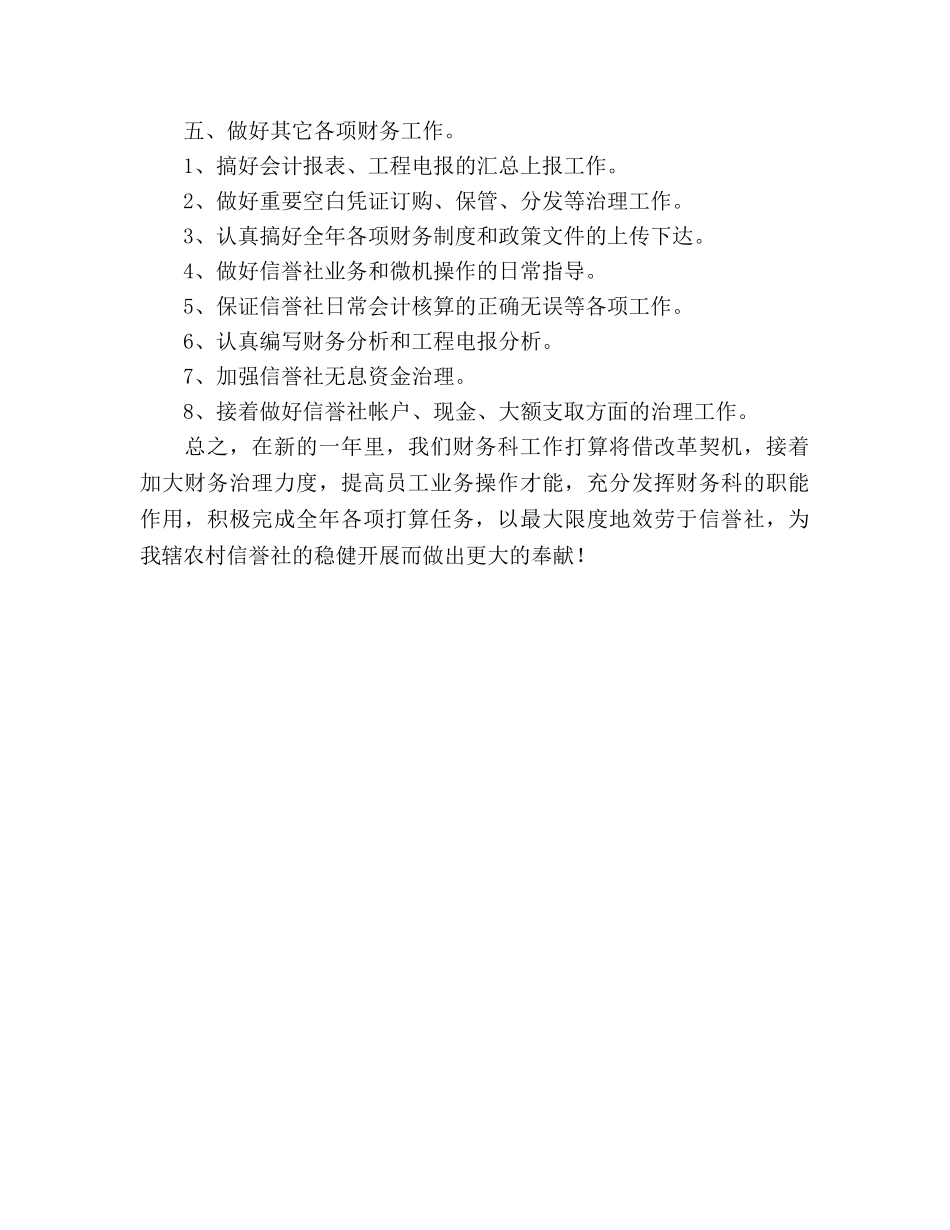 农村信用社年度财务工作参考计划范文 _第3页