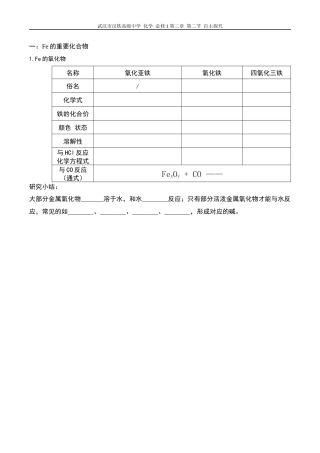 Fe的自主探究