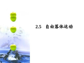 25自由落体运动