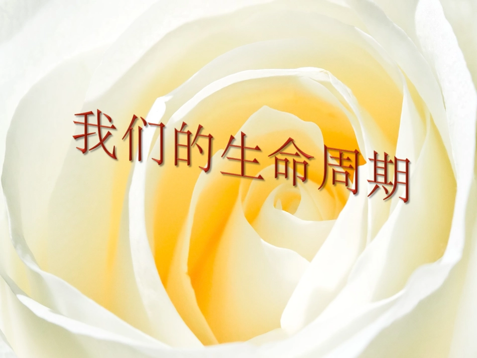 我们的生命周期_第1页