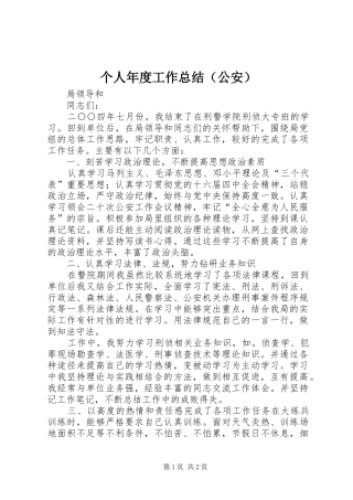 个人年度工作总结（公安）