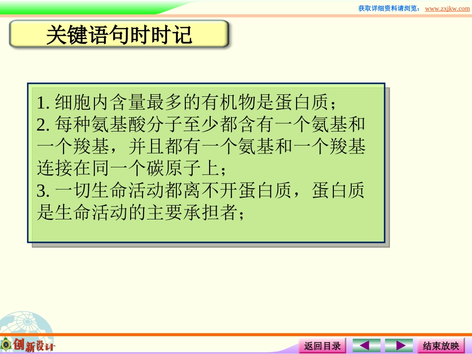 课件3蛋白质的形成_第1页