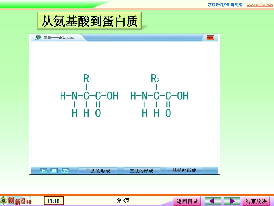 课件3蛋白质的形成_第3页