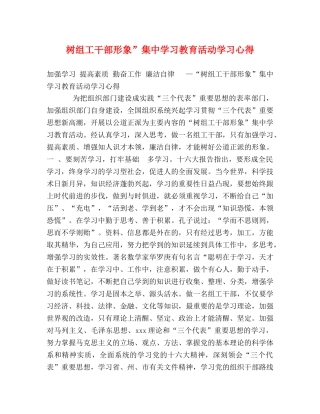 树组工干部形象”集中学习教育活动学习心得 