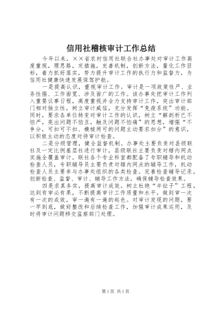 信用社稽核审计工作总结