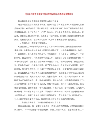 电力公司财务干部在中层正职培训班上的表态发言稿范文 