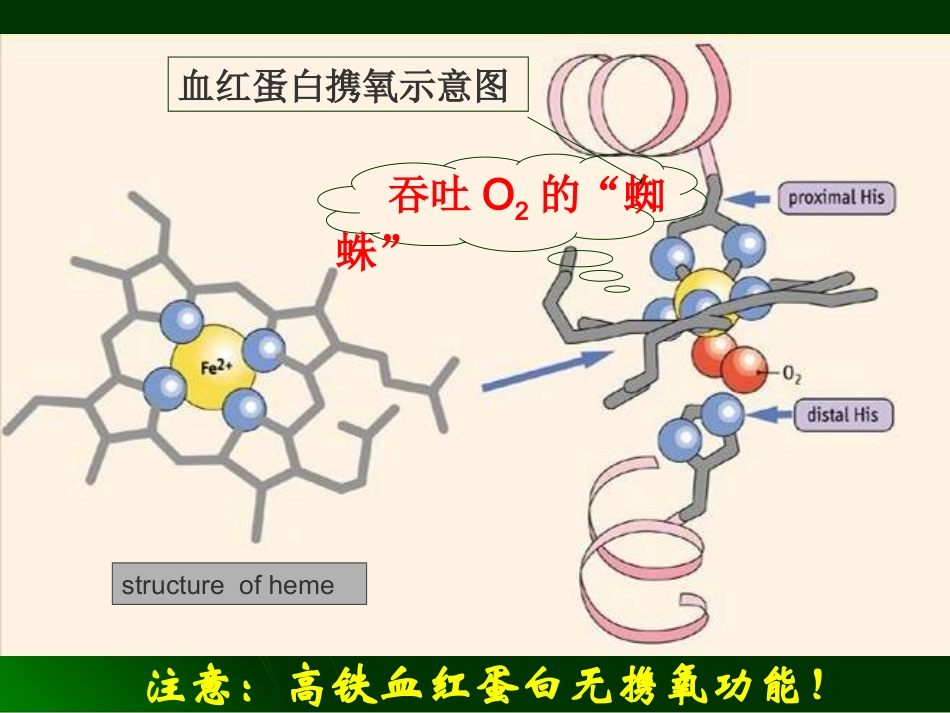 铁与生命动力_第2页