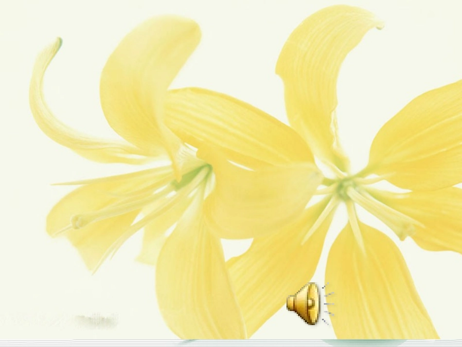 《金色花》课件_第1页
