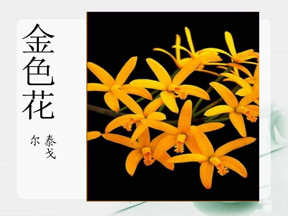 《金色花》课件_第2页