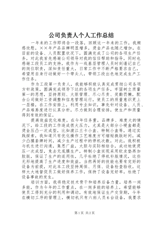 公司负责人个人工作总结