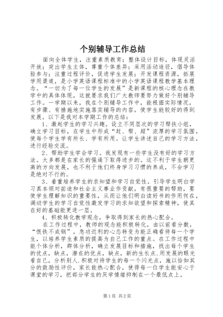 个别辅导工作总结
