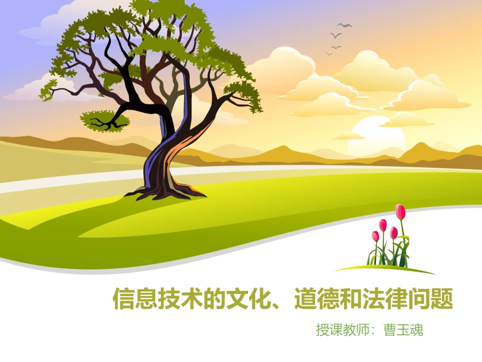 信息技术的文化_第1页