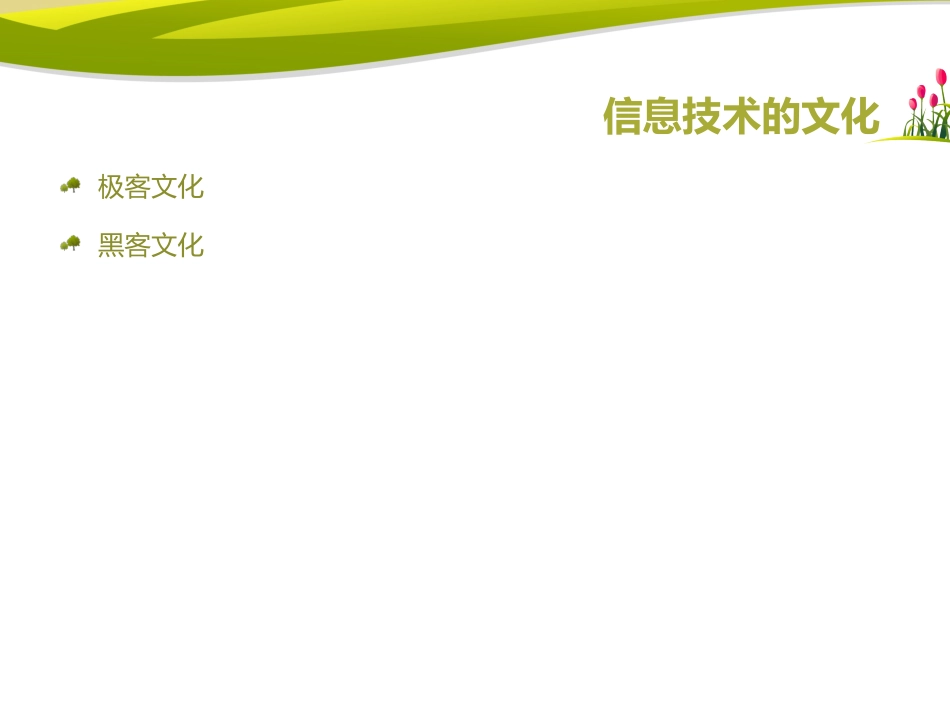 信息技术的文化_第2页