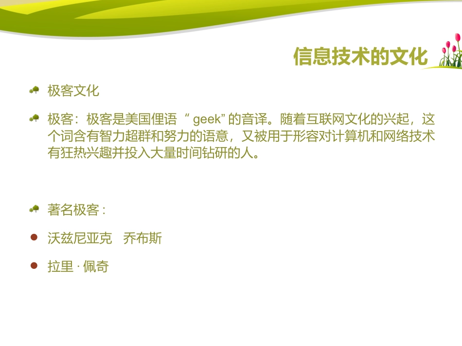 信息技术的文化_第3页