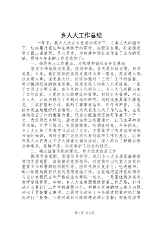 乡人大工作总结