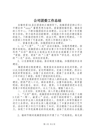 公司团委工作总结 (13)