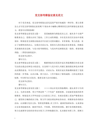 党支部考察鉴定意见范文 