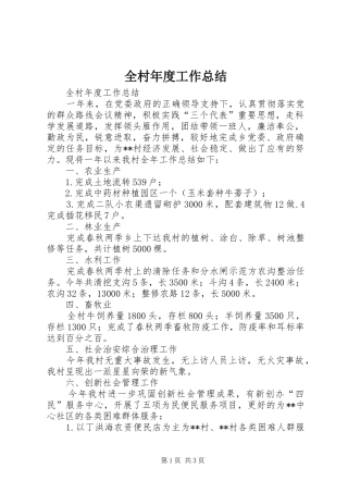 全村年度工作总结