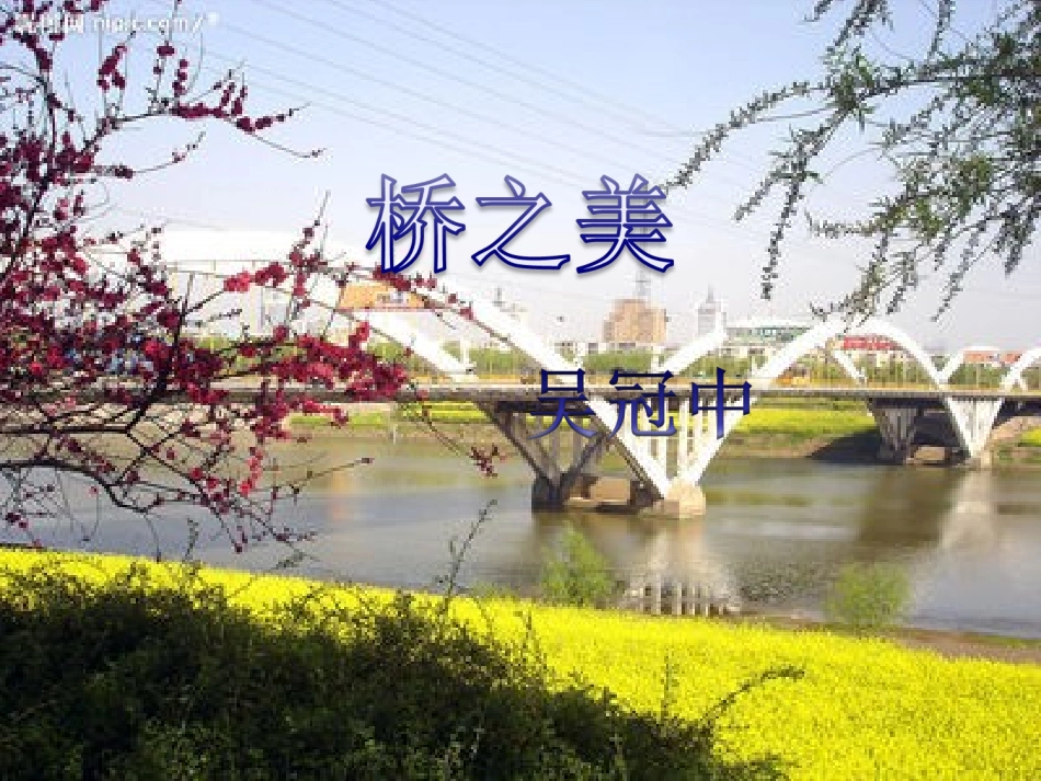 桥之美。_免费_第1页