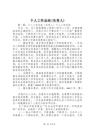 个人工作总结(负责人)