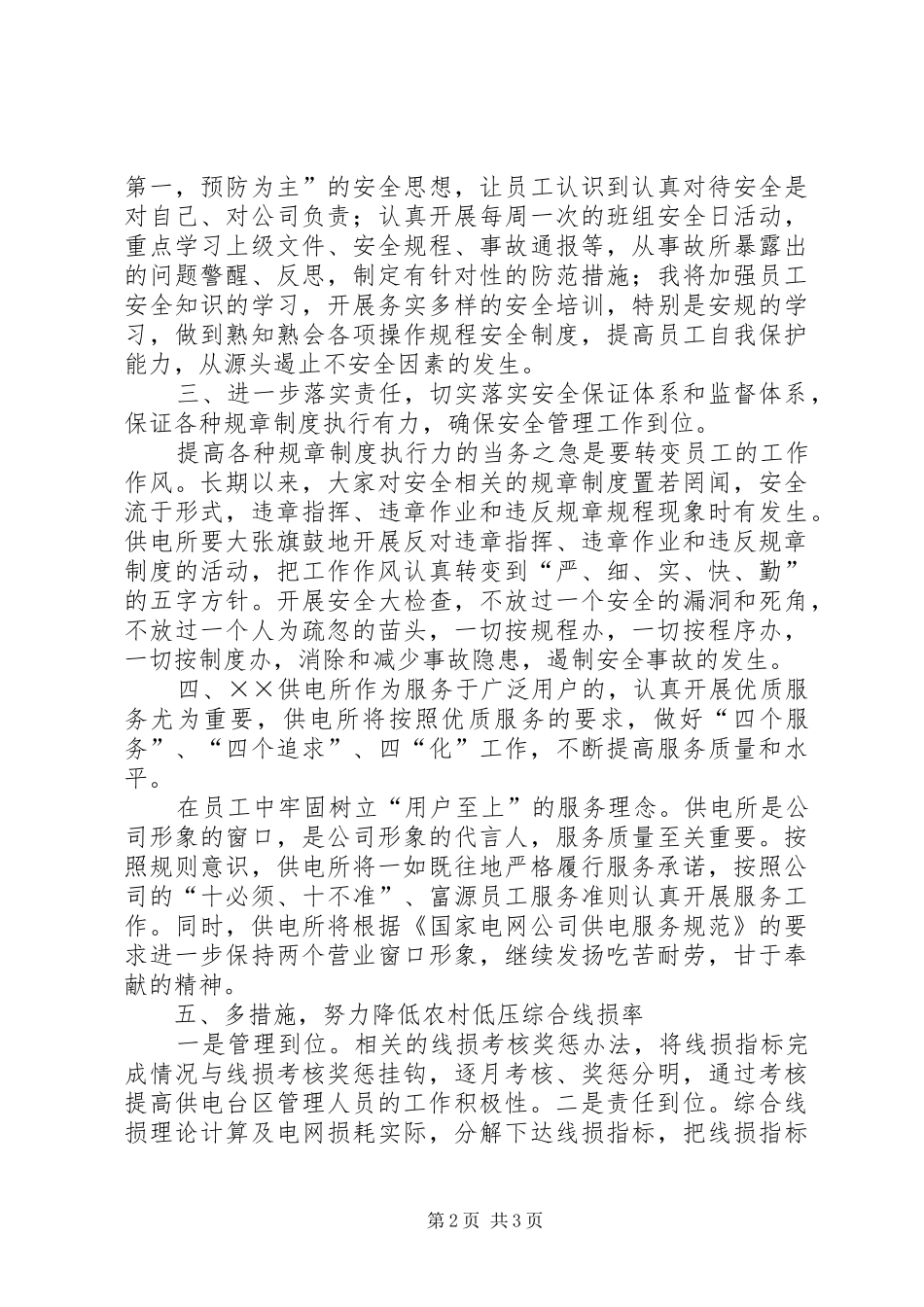 供电所所长工作总结_第2页