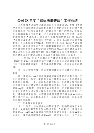 公司XX年度“谁执法谁普法”工作总结