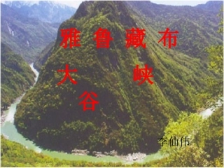 2、雅鲁藏布大峡谷 (2)