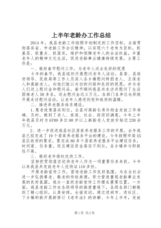 上半年老龄办工作总结