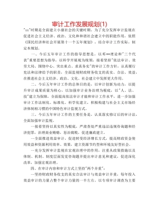 审计工作发展规划(1) 