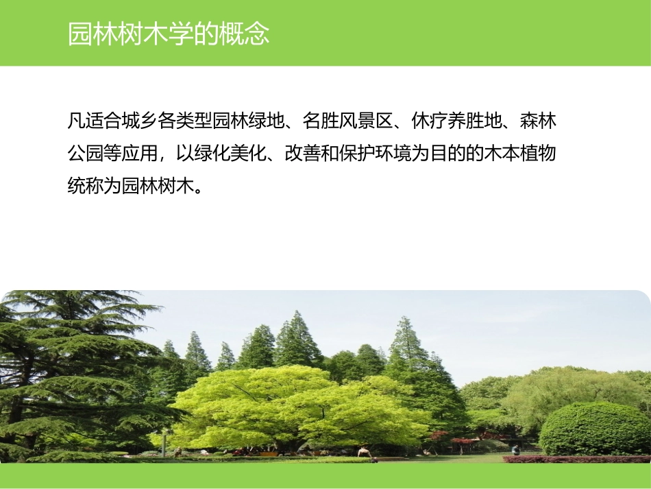 44、园林树木_第1页