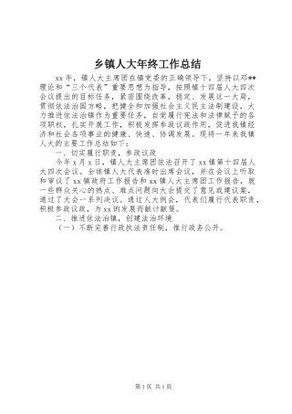 乡镇人大年终工作总结