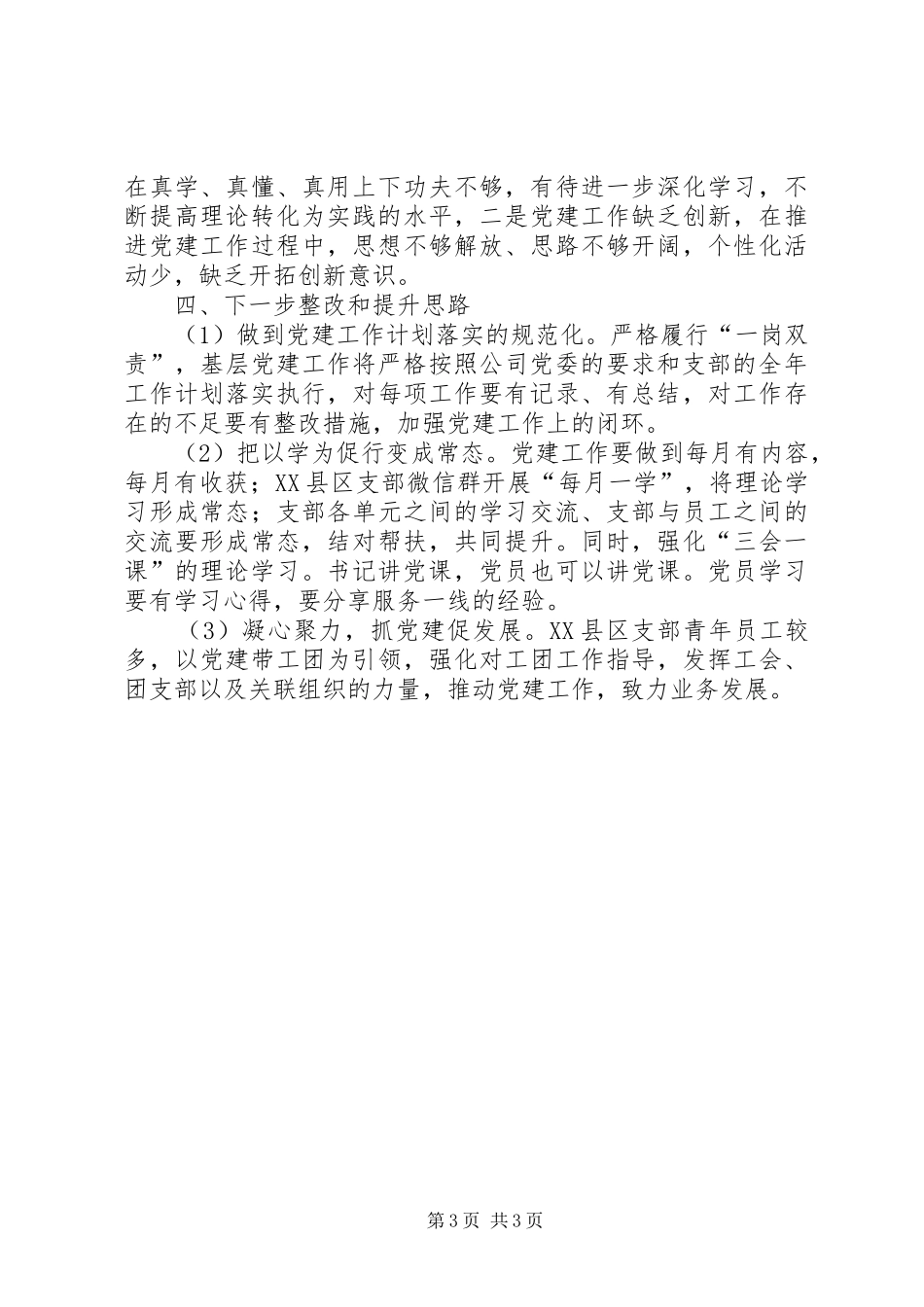 公司XX县区支部年度工作总结_第3页