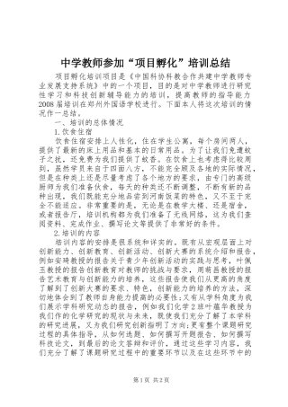 中学教师参加“项目孵化”培训总结