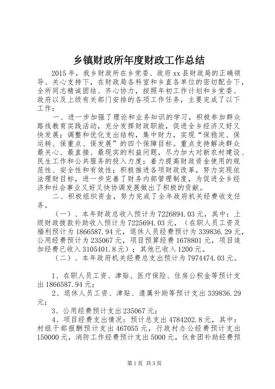 乡镇财政所年度财政工作总结_第1页