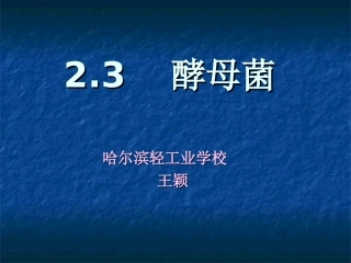 王颖教案酵母菌
