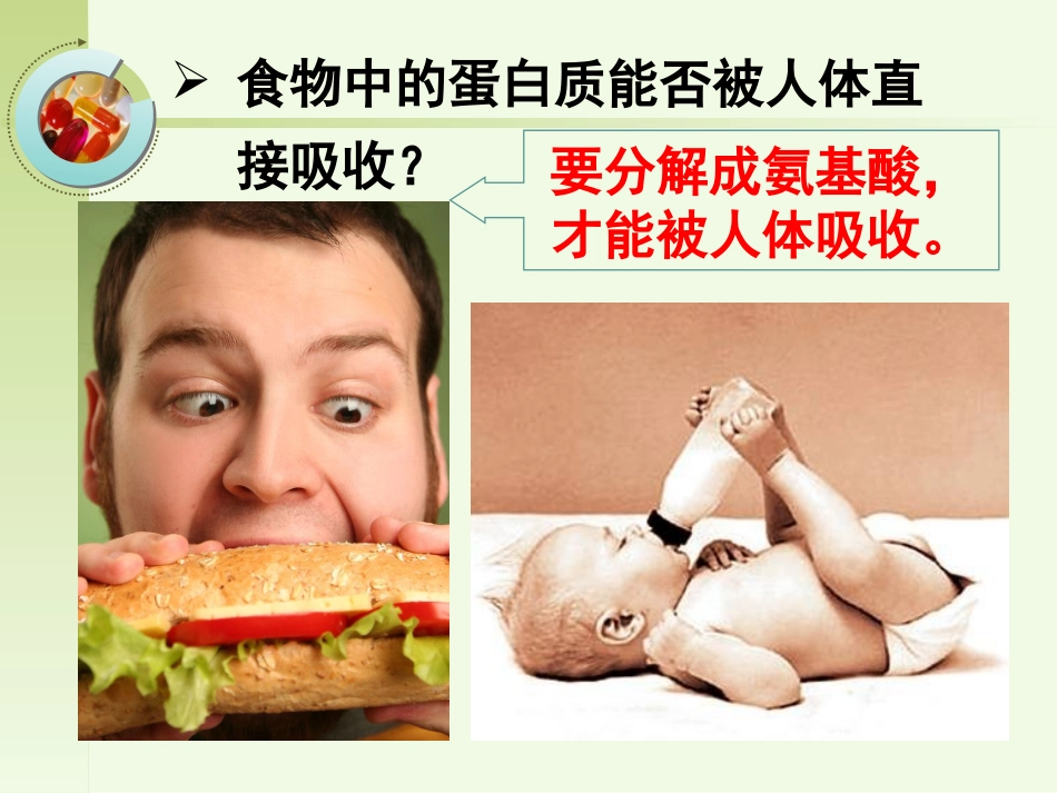 22生命活动的主要承担者—蛋白质-17s_第3页