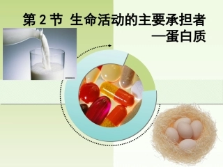 22生命活动的主要承担者—蛋白质-17s
