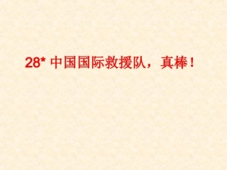 28中国国际救援队