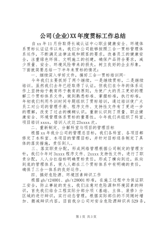 公司(企业)XX年度贯标工作总结