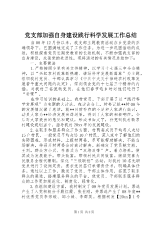 党支部加强自身建设践行科学发展工作总结