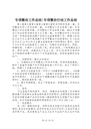 专项整治工作总结-专项整治行动工作总结