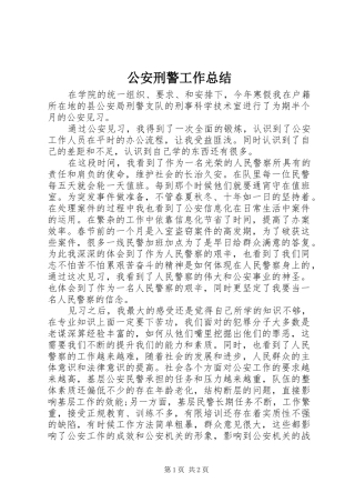 公安刑警工作总结