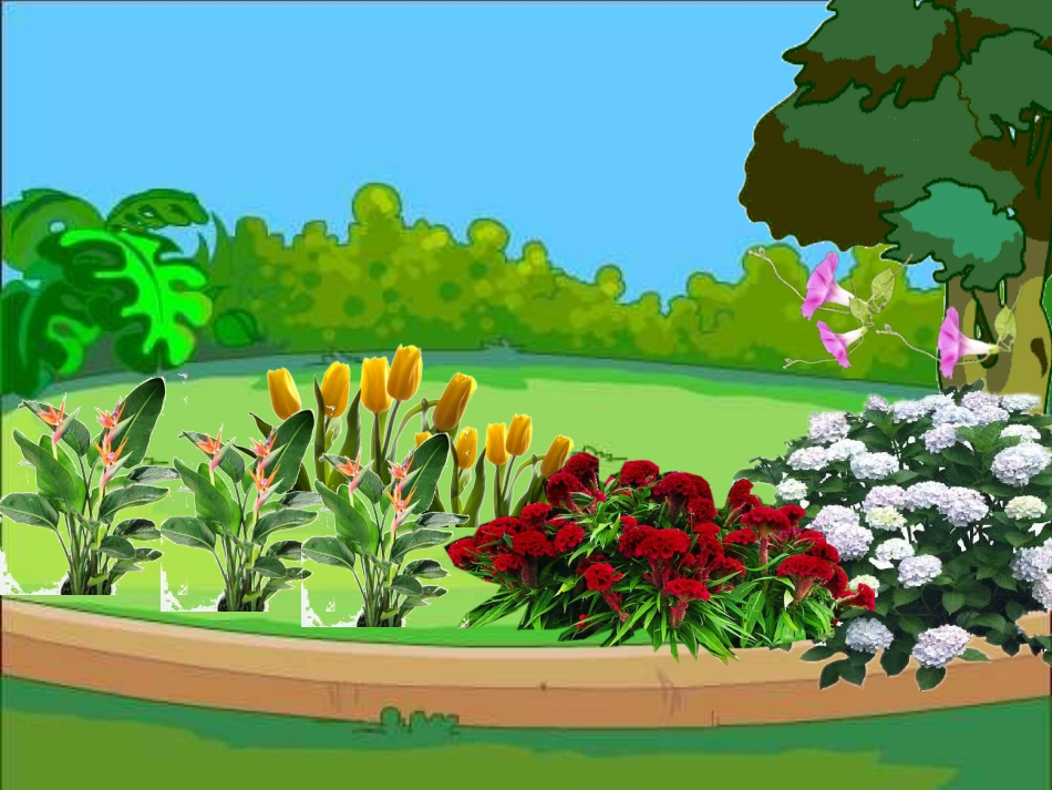 爱心花园课件_第2页