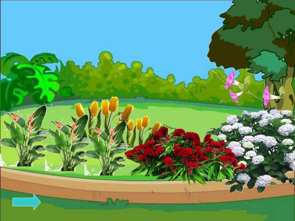 爱心花园课件_第3页