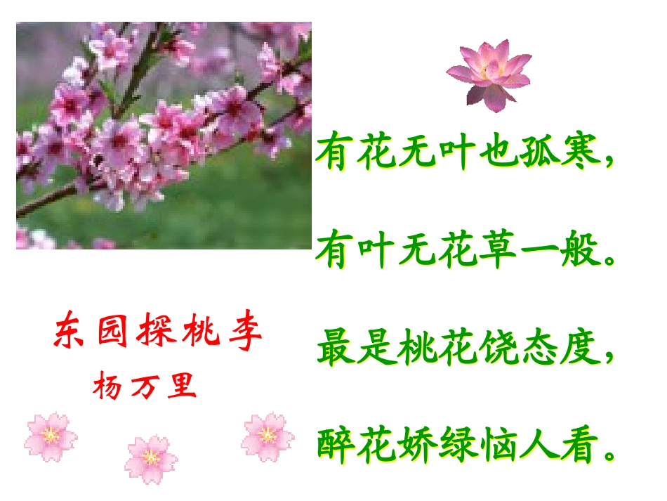 21桃花源记 (4)_第3页