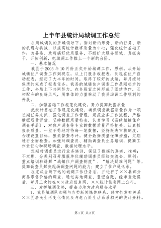 上半年县统计局城调工作总结