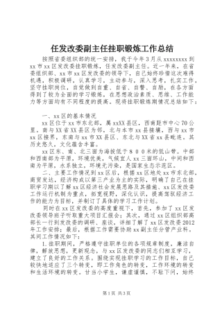 任发改委副主任挂职锻炼工作总结