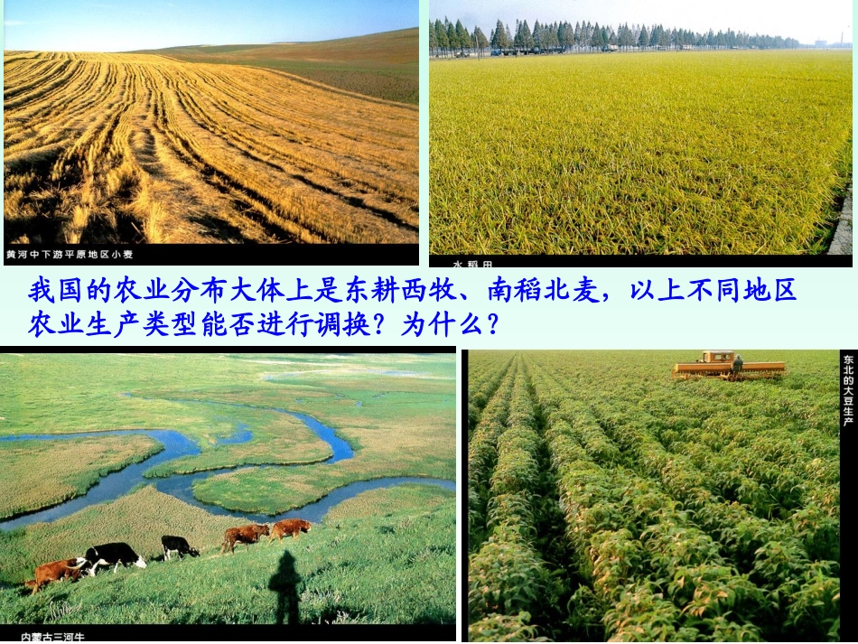 农业的区位选择_第2页