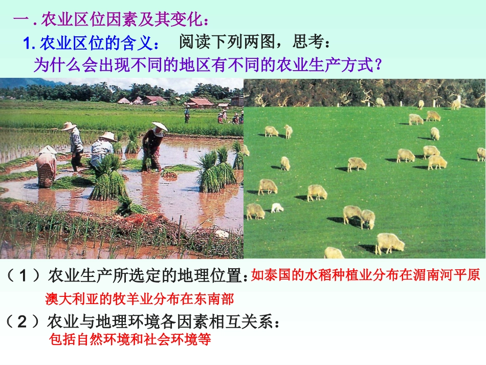 农业的区位选择_第3页