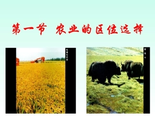 农业的区位选择
